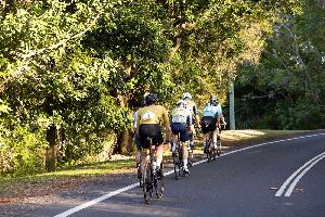 Buderim 9