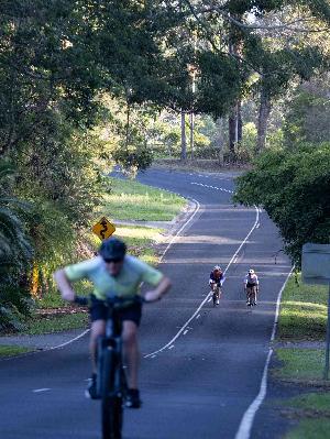 Buderim 9